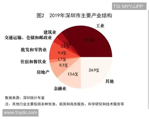 深圳排球队个人能力分析与表现评估研究报告