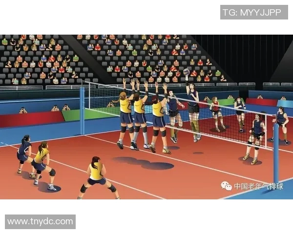 南京排球队的控制打法深度分析与战术解读