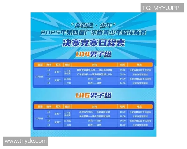 广州篮球队荣登篮球技术排行榜首位引领全国篮球新风潮